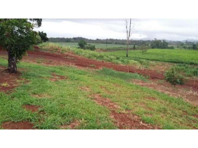 34 Dinner Creek Road, Garradunga QLD 4860