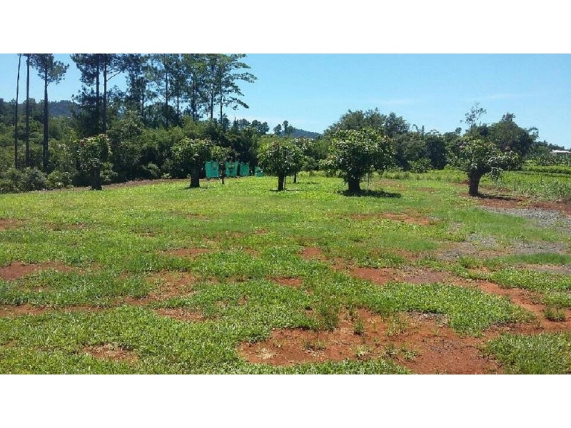 34 Dinner Creek Road, Garradunga QLD 4860