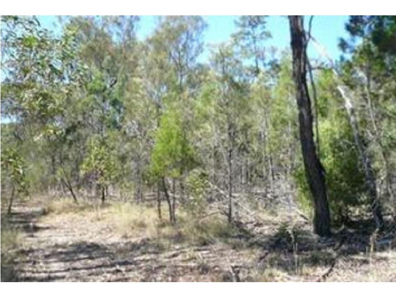 Lot 103 Machaness Road, Tara QLD 4421