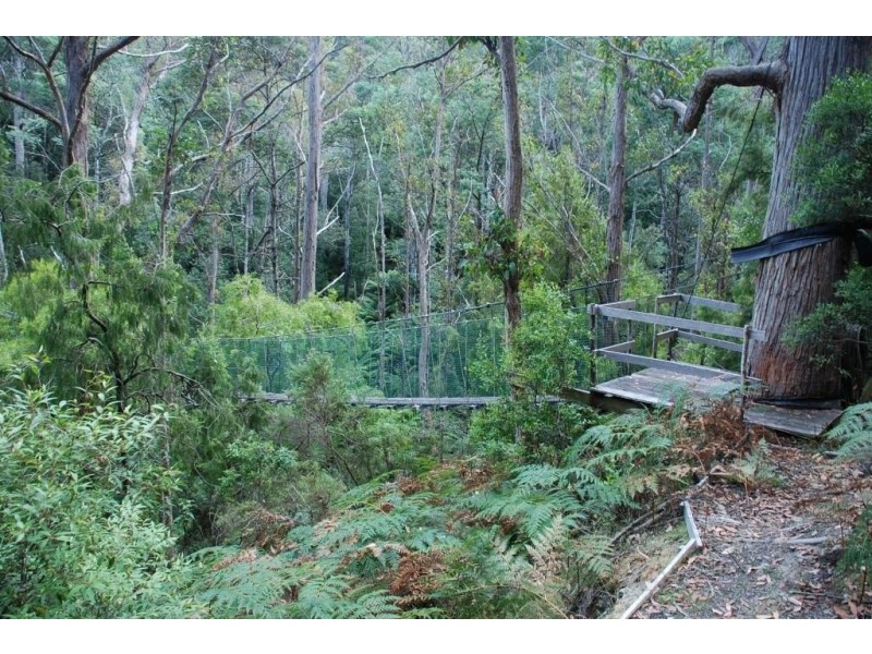 Lot 2 Guys Road, Cygnet TAS 7112