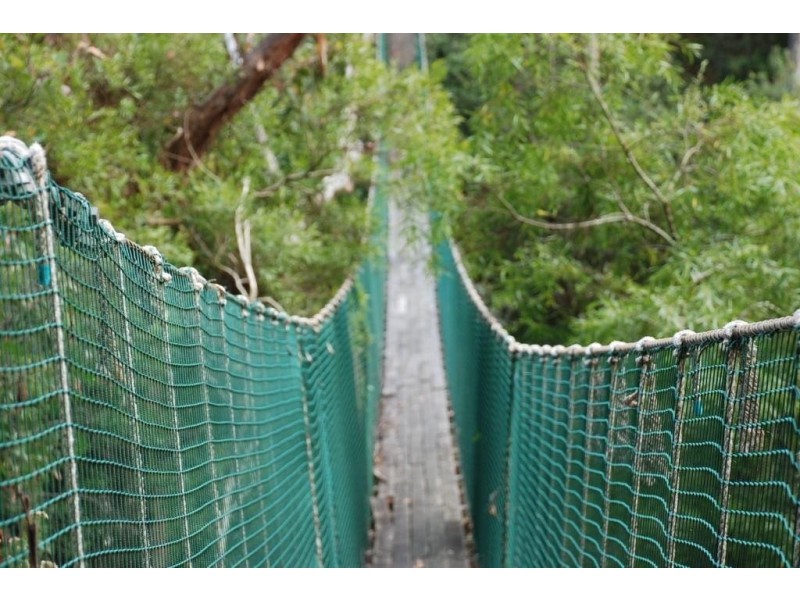 Lot 2 Guys Road, Cygnet TAS 7112