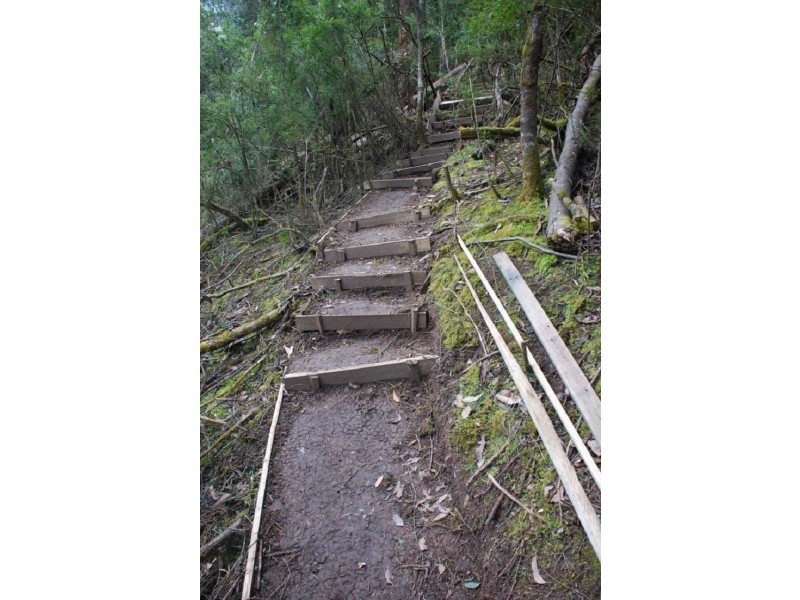 Lot 2 Guys Road, Cygnet TAS 7112