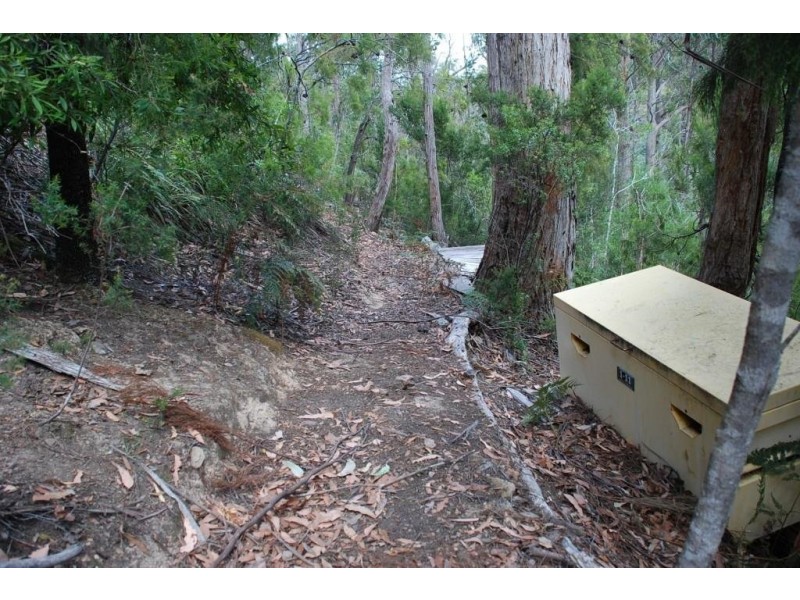 Lot 2 Guys Road, Cygnet TAS 7112