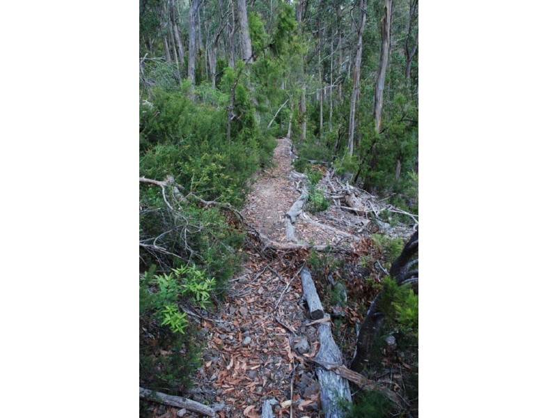 Lot 2 Guys Road, Cygnet TAS 7112