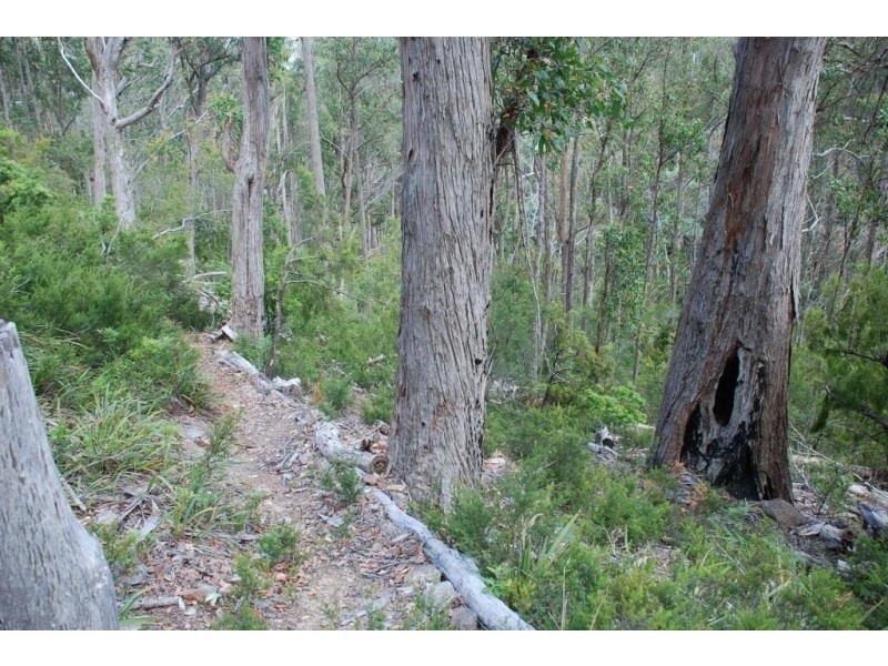 Lot 2 Guys Road, Cygnet TAS 7112