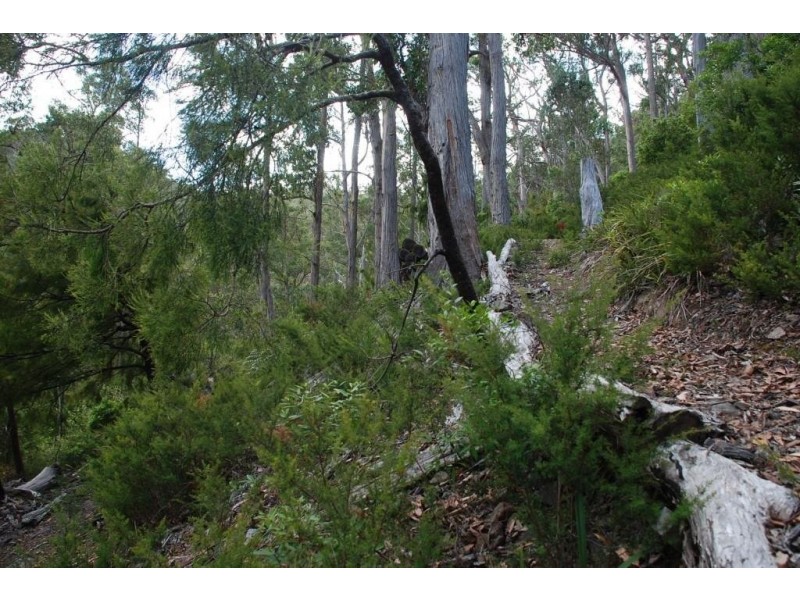 Lot 2 Guys Road, Cygnet TAS 7112