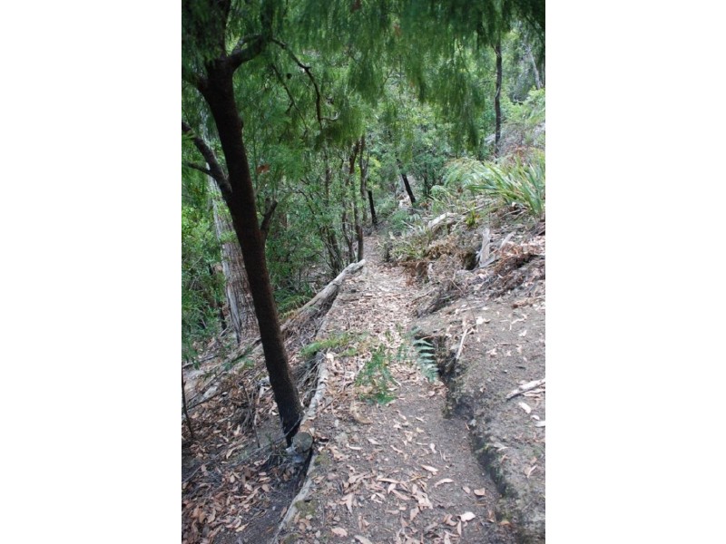 Lot 2 Guys Road, Cygnet TAS 7112