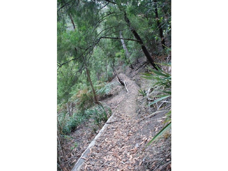 Lot 2 Guys Road, Cygnet TAS 7112