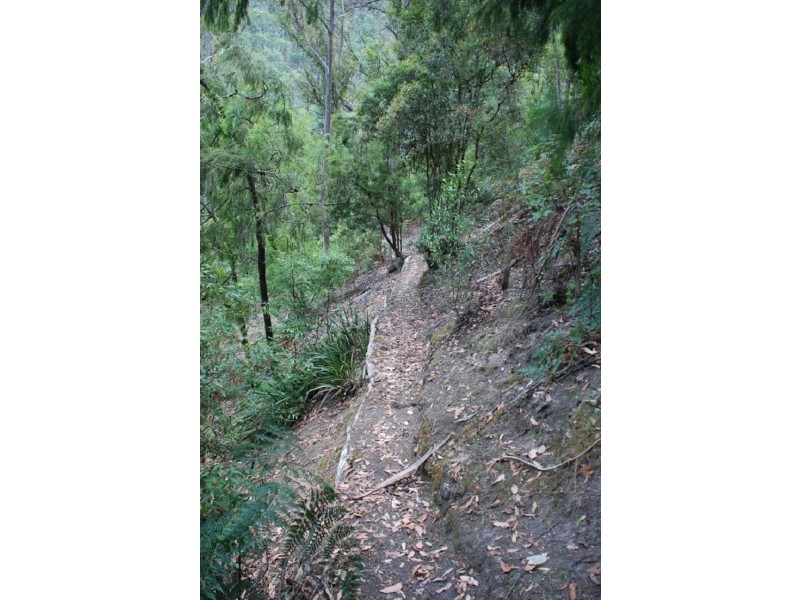 Lot 2 Guys Road, Cygnet TAS 7112