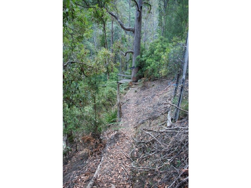 Lot 2 Guys Road, Cygnet TAS 7112