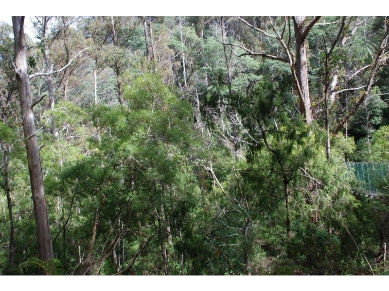 Lot 2 Guys Road, Cygnet TAS 7112