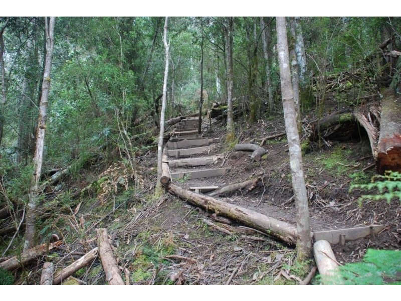 Lot 2 Guys Road, Cygnet TAS 7112