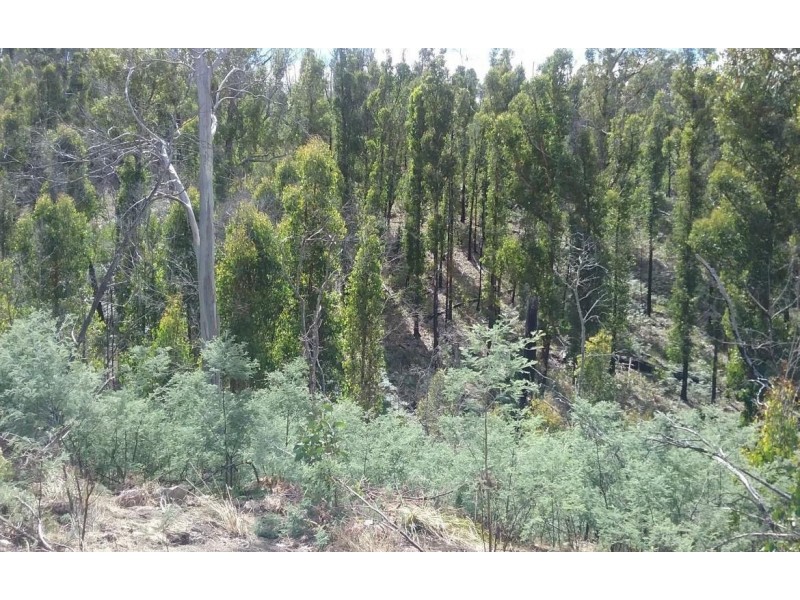 174 Ellendale Road, Westerway TAS 7140