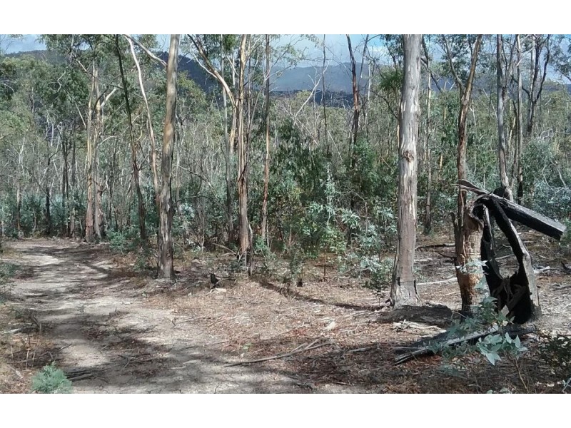 174 Ellendale Road, Westerway TAS 7140