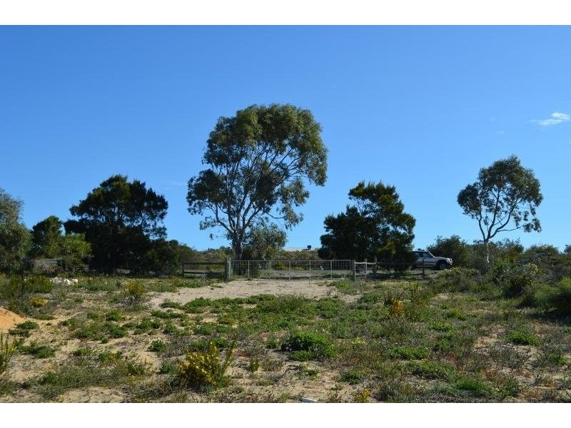 196 Wildflower Way, Karakin WA 6044