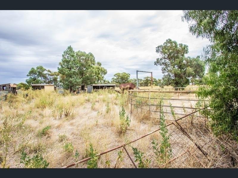 * Johns Road, Barellan NSW 2665