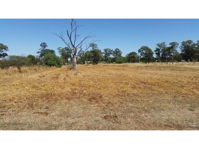 23 Bogan Street, Bogan Gate NSW 2876