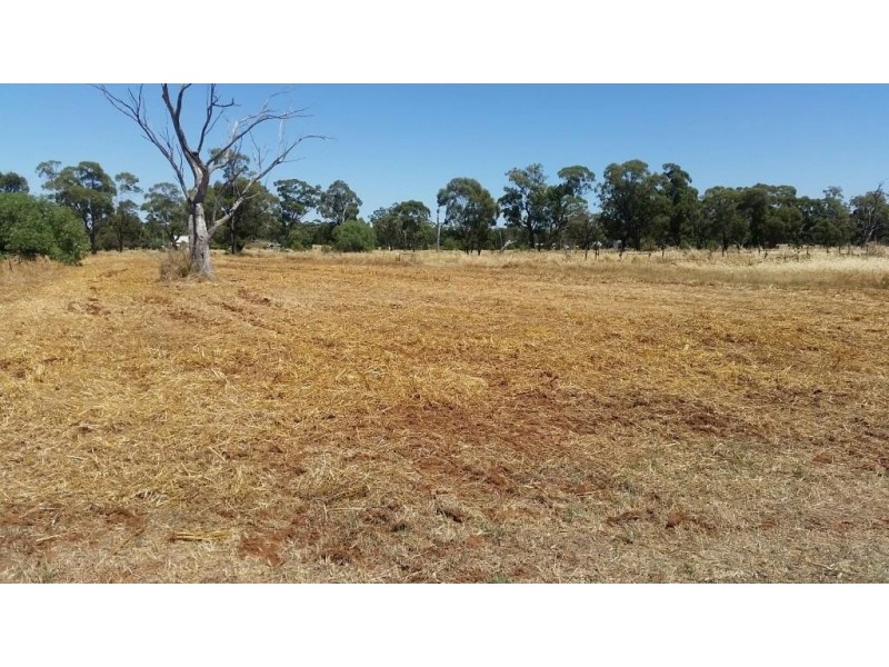 23 Bogan Street, Bogan Gate NSW 2876