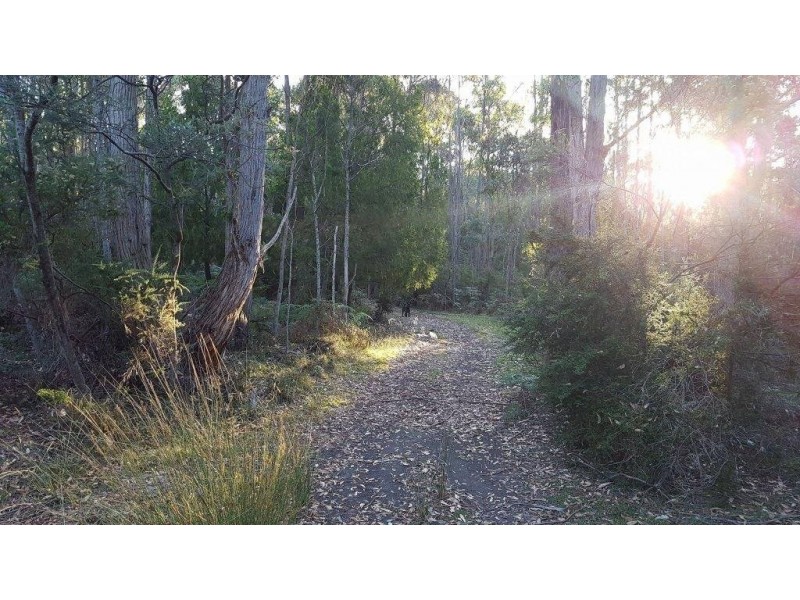 108 Donovans Road, Osmaston TAS 7303