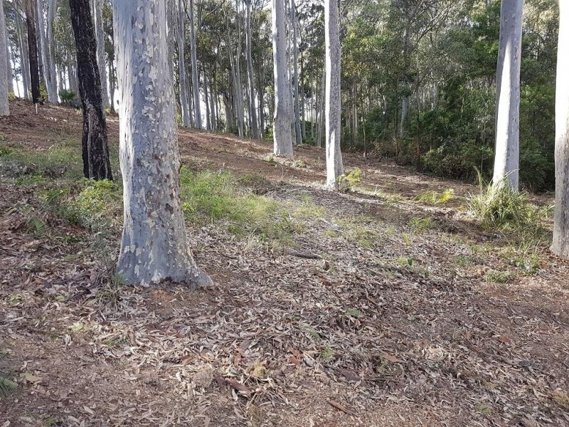 * Gareth Avenue, Narooma NSW 2546