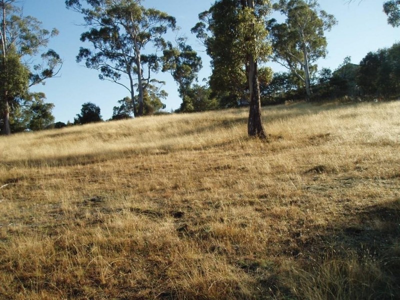48 Cambridge Street, West Launceston TAS 7250