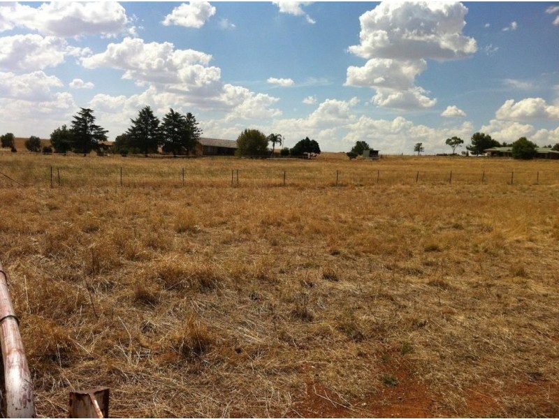 * Mitchell Street, Parkes NSW 2870