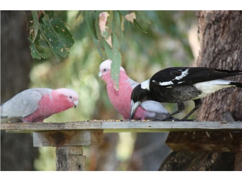 24 Lakeside Terrace, Preston Beach WA 6215