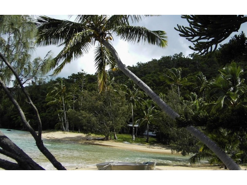 * St. Bees Island, Whitsundays QLD 4802