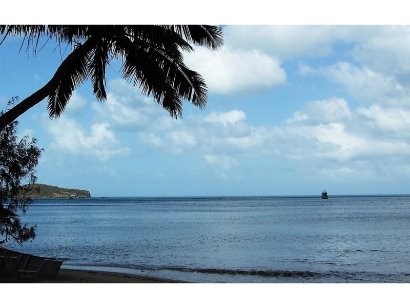 * St. Bees Island, Whitsundays QLD 4802