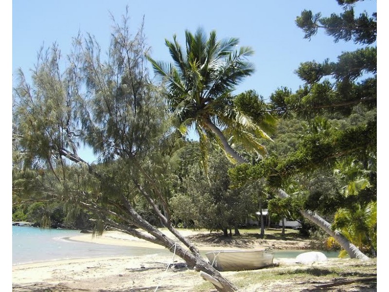 * St. Bees Island, Whitsundays QLD 4802