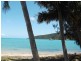 * St. Bees Island, Whitsundays QLD 4802