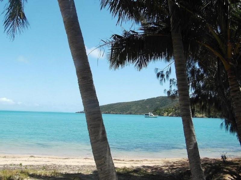 * St. Bees Island, Whitsundays QLD 4802