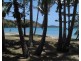 * St. Bees Island, Whitsundays QLD 4802