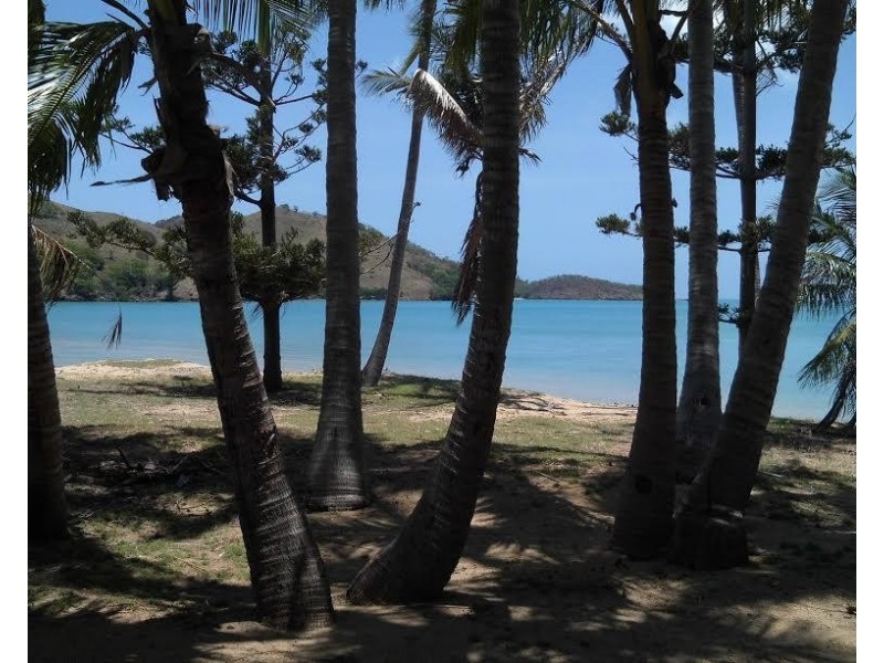* St. Bees Island, Whitsundays QLD 4802