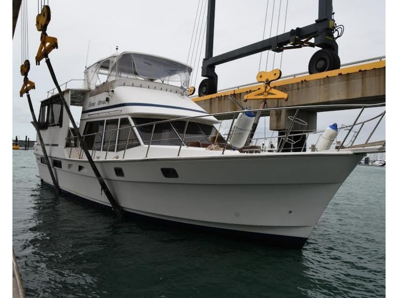 * St. Bees Island, Whitsundays QLD 4802