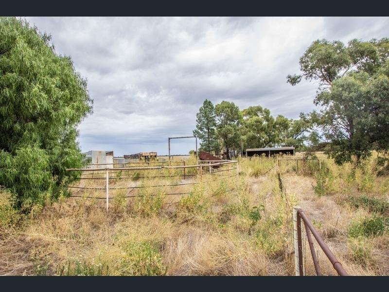 675 Johns Road, Barellan NSW 2665