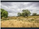 675 Johns Road, Barellan NSW 2665