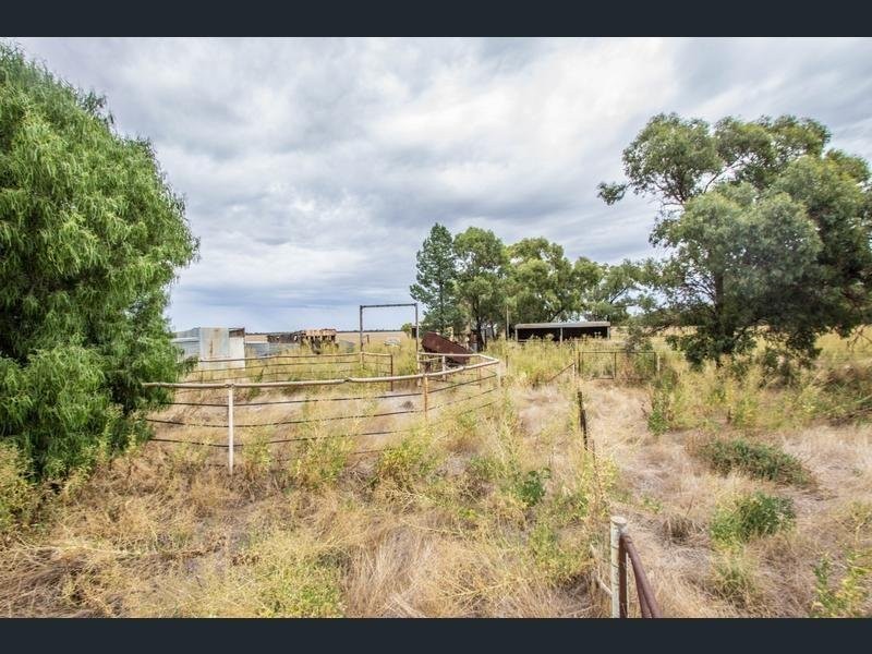 675 Johns Road, Barellan NSW 2665