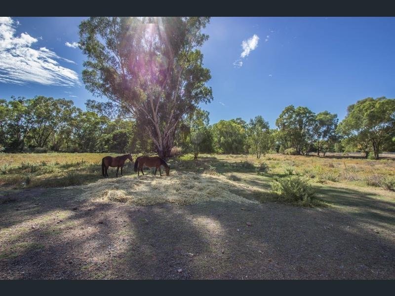 25 Sugden Street, Narrandera NSW 2700
