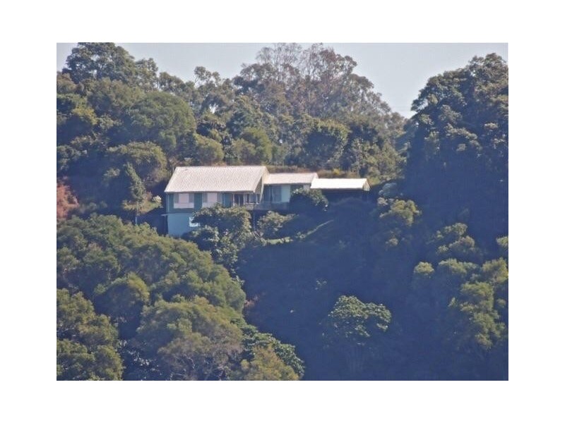 489 Trees Road, Tallebudgera QLD 4228