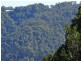 489 Trees Road, Tallebudgera QLD 4228