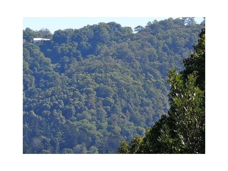 489 Trees Road, Tallebudgera QLD 4228