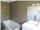 489 Trees Road, Tallebudgera QLD 4228