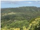 489 Trees Road, Tallebudgera QLD 4228