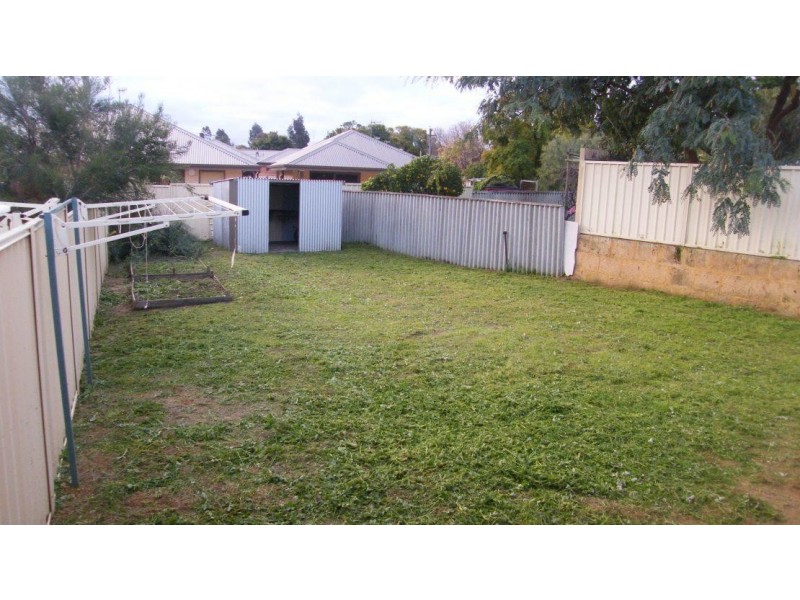 Wongan Hills WA 6603