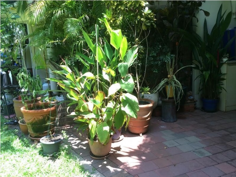 47/23 Hudson Fysh Avenue, Parap NT 0820