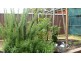 26 Harrington Street, Elderslie NSW 2570