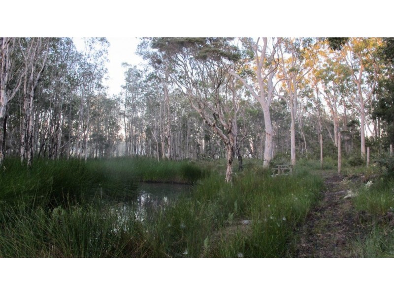 Shark Creek NSW 2463