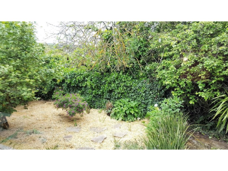 18 Hopetoun Street, Ballarat East VIC 3350