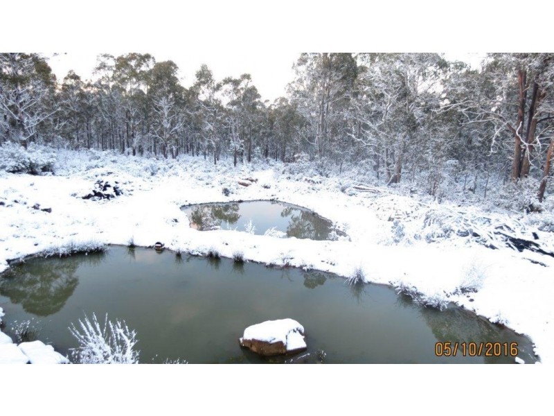 454 Arthurs Lake Road, Arthurs Lake TAS 7030